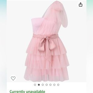 Adorable Tulle Ruffle Mini Dress NWOT